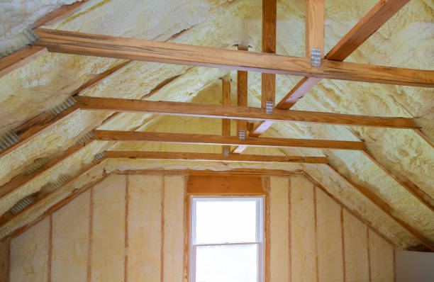 Best Insulation Inspection Services  in Kennesaw State University, GA
